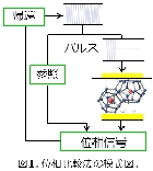 JP_図1.jpg