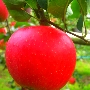 PICT0428.JPG