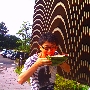 PICT0010.JPG