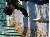 DSCN0066.JPG