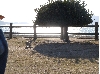DSCN0061.JPG