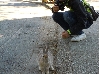 DSCN0052.JPG