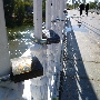 P1000065.JPG